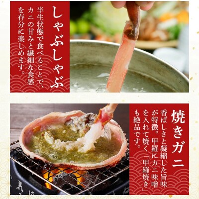 <11月中旬～3月中旬発送予定><期間限定>活松葉ガニ 特々大 1.2kg以上