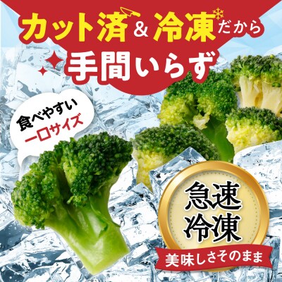 JAむなかたブロッコリー部会より!冷凍ブロッコリー2kg(1kg×2袋)【ほたるの里】_HA0622