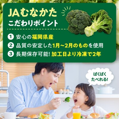 JAむなかたブロッコリー部会より!冷凍ブロッコリー2kg(1kg×2袋)【ほたるの里】_HA0622