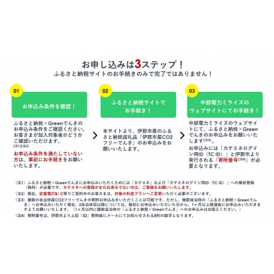 伊那市産CO2フリー電気(30,000円)