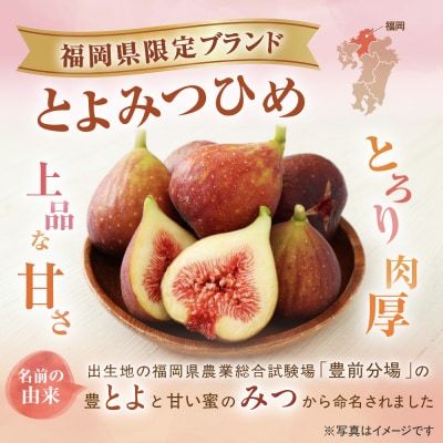 プレミアムいちじく「とよみつひめ」冷凍いちじく 大容量2kg【JAほたるの里】_HA0279