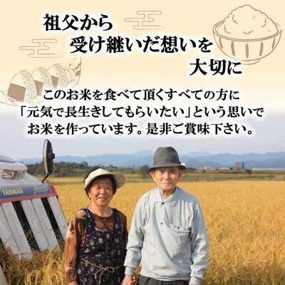 無洗米 孫兵衛のあきたこまち 10kg 秋田県 能代市産[No.5335-0013]
