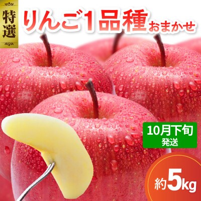 【2026年10月下旬発送】 【特選】 旬の美味しい りんご 約5kg 青森産 【おまかせ1品種】