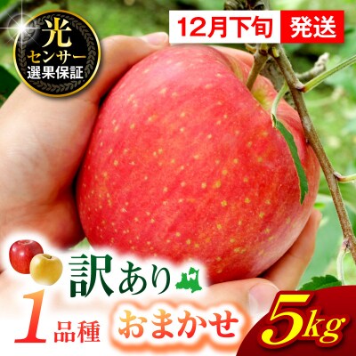 【2026年12月下旬発送】【訳あり】旬の美味しい りんご 約5kg 青森 産 【おまかせ1品種】