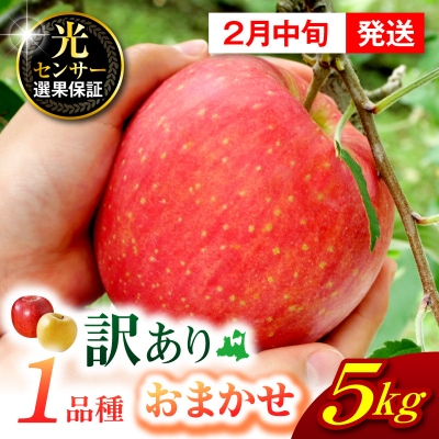 【2027年2月中旬発送】 【訳あり】 旬の美味しい りんご 約5kg 青森産 【おまかせ1品種】