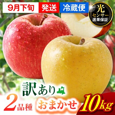 【2026年9月下旬発送】【訳あり】  旬の美味しい りんご 約10kg 青森産 【おまかせ2品種】