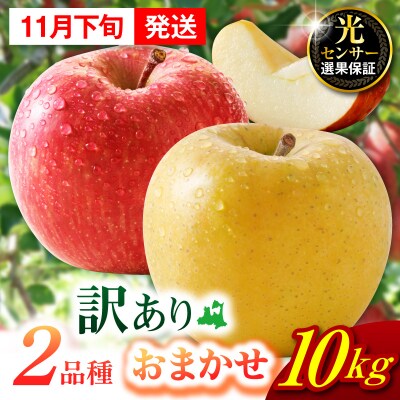 【2026年11月下旬発送】【訳あり】 旬の美味しい りんご 約10kg 青森産 【おまかせ2品種】