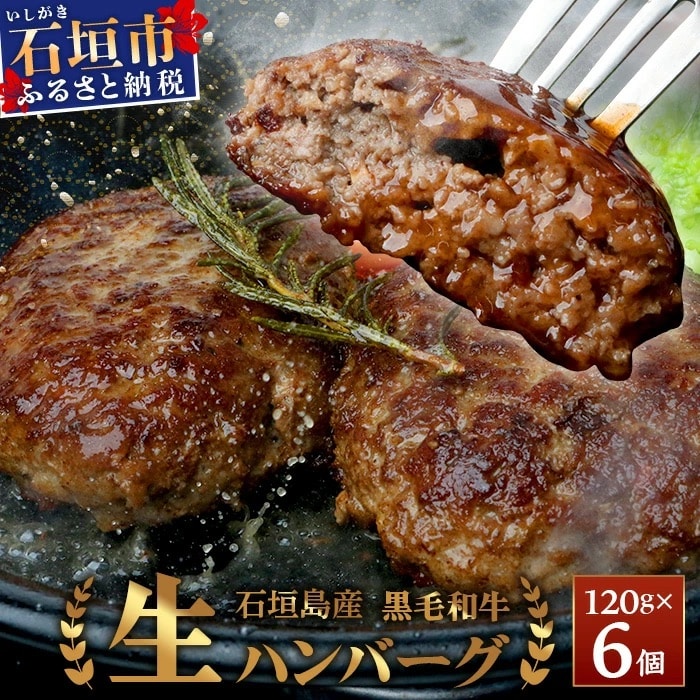 石垣島産 黒毛和牛 生ハンバーグ 120g x 6個