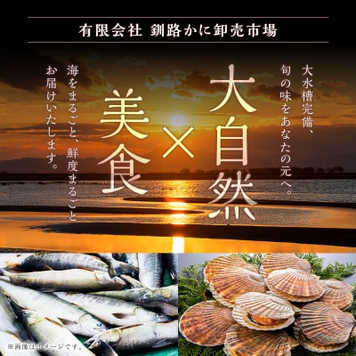 【食べ応え十分!!】生ズワイガニしゃぶしゃぶ用ポーション500g かに 蟹 F4F-0558