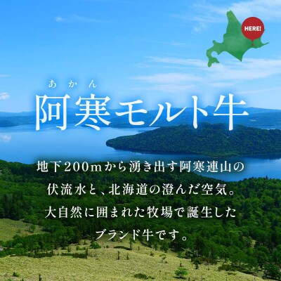 【これぞ北海道産 赤身肉】阿寒モルト牛サーロインステーキ 約200g×2枚 F4F-8046