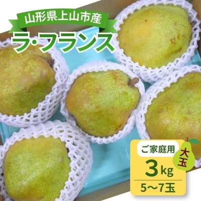 西洋梨(ラ・フランス)　3kg　大玉　ご家庭用　0017-2616