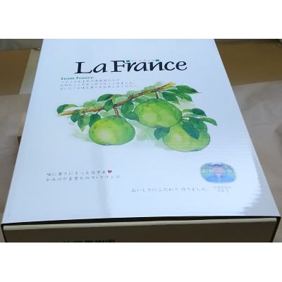 西洋梨(ラ・フランス)3kg以上×2箱　7Lサイズ　0017-2621
