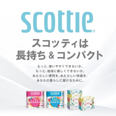 ティッシュ 250組10箱 + トイレットペーパー シングル 24ロールスコッティ_186-6550
