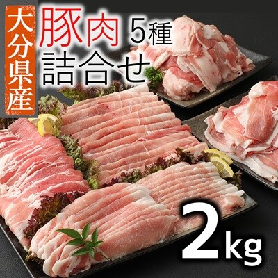 【寄附額見直し】小分けされてるから便利♪大分県産 豚詰め合わせ5種(約2kg)