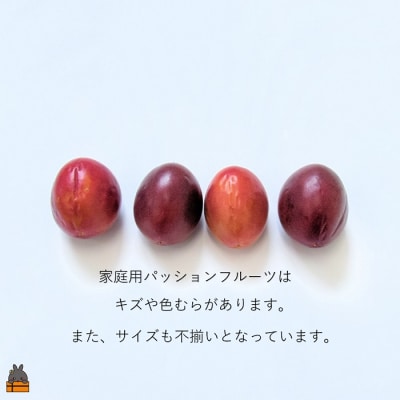 《今が旬!》【訳あり】南原(はいばる)農園さんの家庭用パッションフルーツ(約3kg)