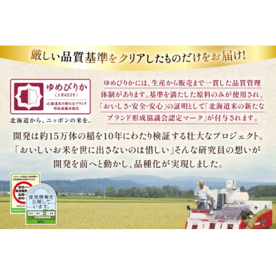 米 令和7年 北海道産 ゆめぴりか 無洗米 5kg 6回 定期便  [12260932] 