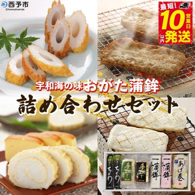 <宇和海からの贈り物　おがた蒲鉾 詰め合わせセット(ギフト可)>　海産　じゃこ天　あげ巻　天ぷら　魚