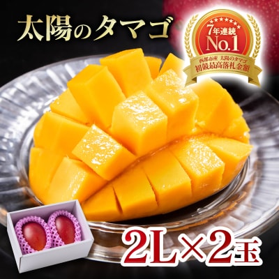 【令和8年6月発送】西都市産完熟マンゴー 太陽のタマゴ2L×2玉【先行受付】[2908]