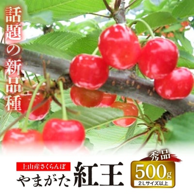 さくらんぼ(やまがた紅王)500g　0025-2605