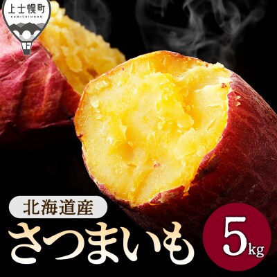 北海道産 さつまいも 5kg 上士幌町 須田農場 野菜