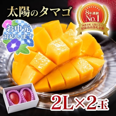 【お中元ギフト】西都市産完熟マンゴー 太陽のタマゴ2L×2玉[2908]