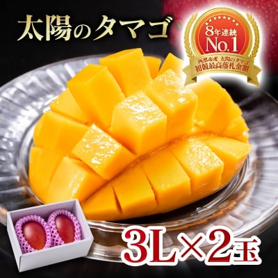 【令和8年6月発送】西都市産完熟マンゴー 太陽のタマゴ3L×2玉【先行受付】[2909]