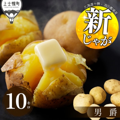 北海道産 新じゃが 男爵 10kg 上士幌町 須田農場 野菜 じゃがいも