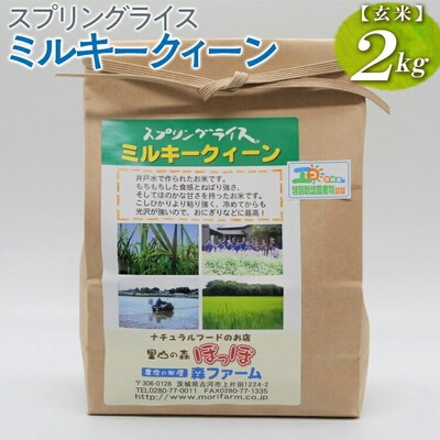 スプリングライス ミルキークィーン (玄米)2kg | 米 こめ コメ 2キロ 玄米 _BI61