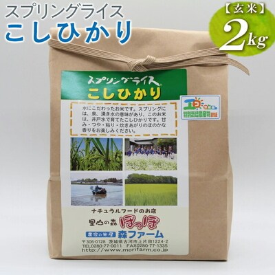 スプリングライス こしひかり (玄米)2kg | 米 こめ コメ 2キロ 玄米 _BI65