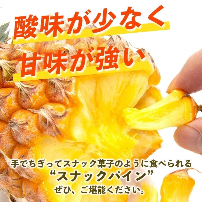 【先行受付】《2027年5月上旬頃より順次発送》石垣島産 スナックパイン (4玉 約4kg)  