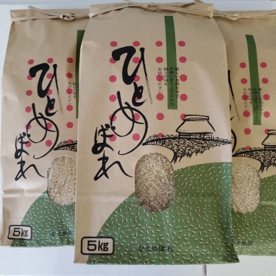 【令和7年産】大衡村産ひとめぼれ5kg×3袋(玄米)