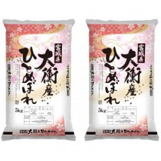 【さとふる限定】令和4年宮城県産 ひとめぼれ10kg(5kg×2袋)【大衡村産】