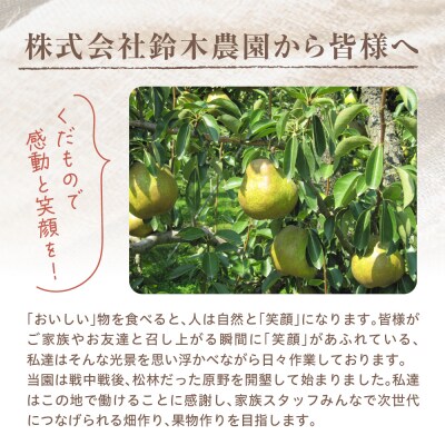 【令和8年産】ラ・フランス 家庭用(訳あり)3kg 鈴木農園提供 hi069-019