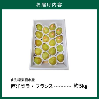 【令和8年産】山形セレクション　ラ・フランス 5kg 鈴木農園提供 hi069-018