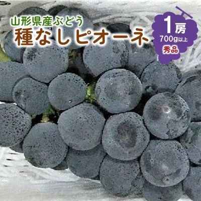 ぶどう(種なしピオーネ)1房　0030-2611