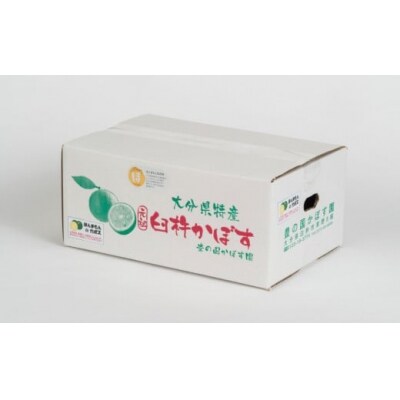 【先行受付】種が少ないから使いやすい!佐々木さんの「種なし(小種)カボス」約4kg