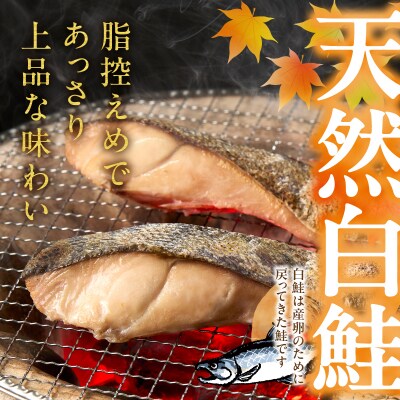 訳あり! 天然 白鮭 甘口 切身 約3kg 便利なジッパーバック入り(a20-488)