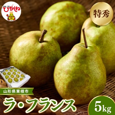 【2026年産】東根市産ラ・フランス 約5kg(玉数おまかせ) 特秀品 hi104-015