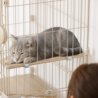 広々スリムキャットケージ HSCCー641 ライトベージュ