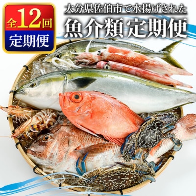 <定期便> 魚介類定期便 (全12回 ・連続) 