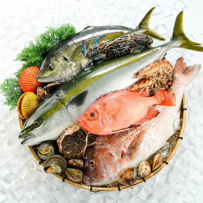 <定期便> 魚介類定期便 (全12回 ・連続) 