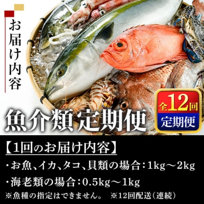 <定期便> 魚介類定期便 (全12回 ・連続) 