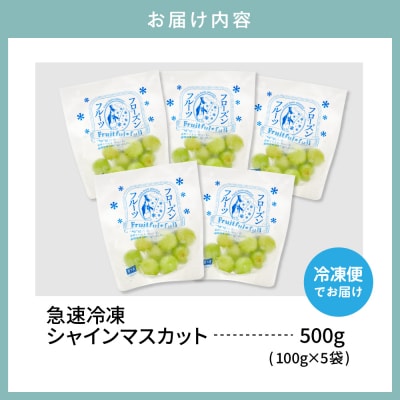 【急速冷凍】東根市産 シャインマスカット 100g×5袋 東根農産センター提供 hi027-245
