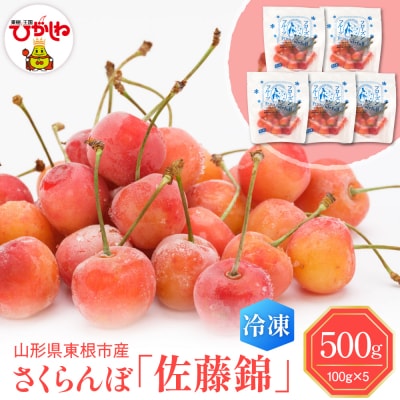 【急速冷凍】さくらんぼ「佐藤錦」100g×5袋 東根農産センター提供 hi027-244