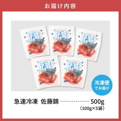 【急速冷凍】さくらんぼ「佐藤錦」100g×5袋 東根農産センター提供 hi027-244