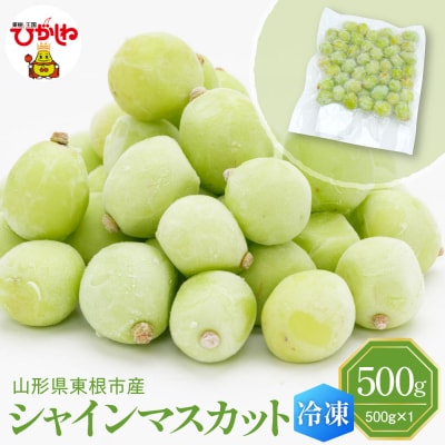 【急速冷凍】東根市産 シャインマスカット 500g 東根農産センター提供 hi027-246