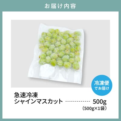【急速冷凍】東根市産 シャインマスカット 500g 東根農産センター提供 hi027-246