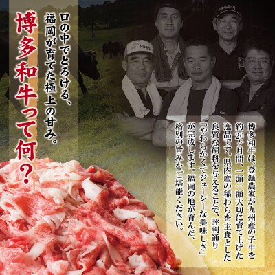 寄附額改定↓↓ 【訳あり】博多和牛　切り落とし1kg (500g×2パック)