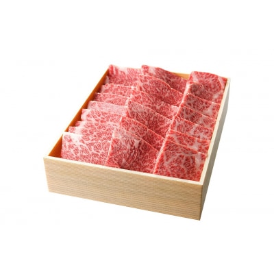 山形牛 特選カルビ 600g　hi003-hi021-011r