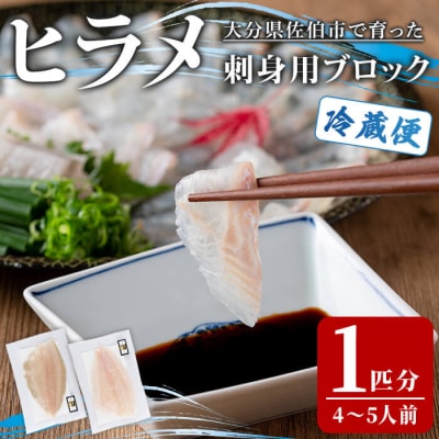  ヒラメ 刺身用 ブロック (1匹分・4-5人前) 